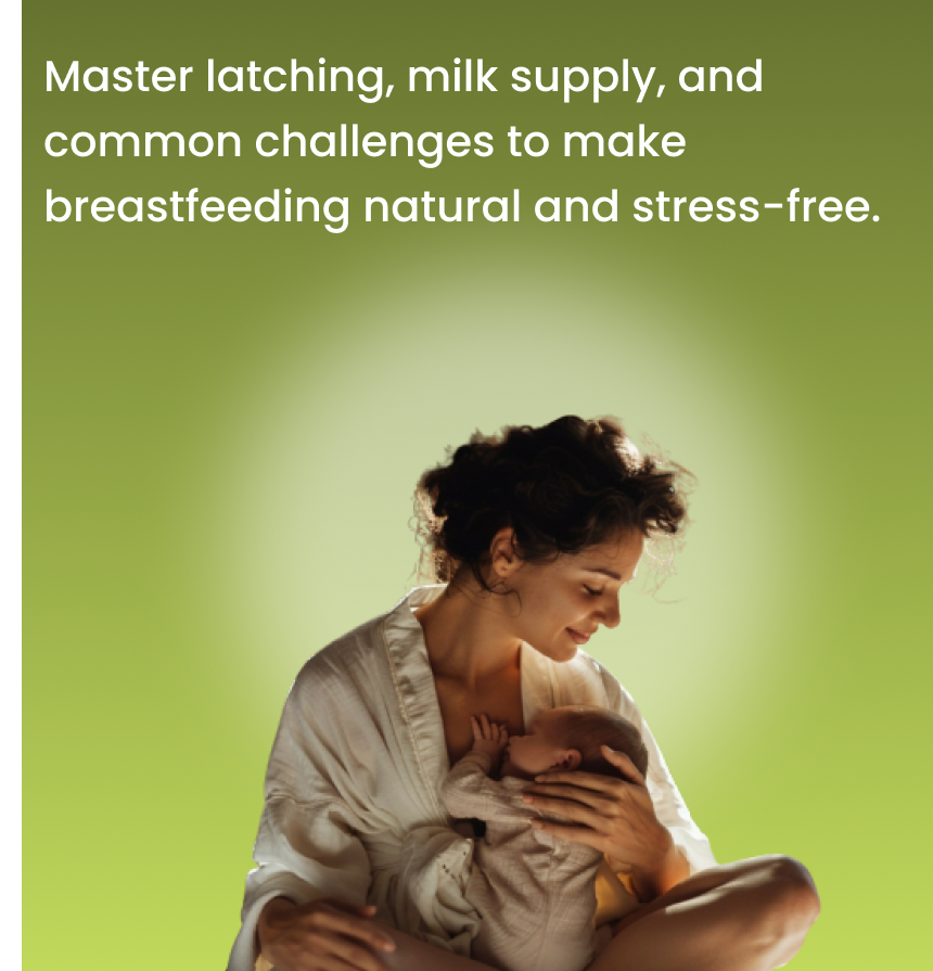 Pre-Pregnancy Webinars